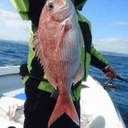 遊漁船ブルーウッズ 釣果