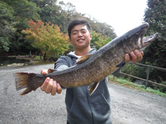 すそのフィッシングパーク 釣果