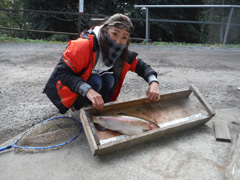 すそのフィッシングパーク 釣果