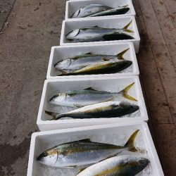 龍神丸(福井) 釣果