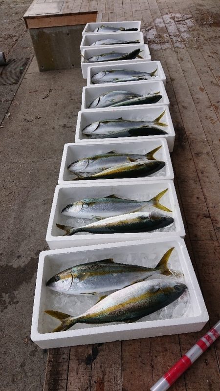 龍神丸(福井) 釣果