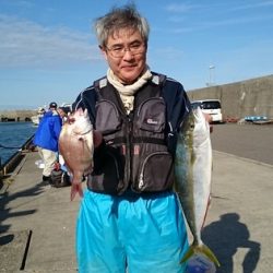 大進丸(新潟) 釣果