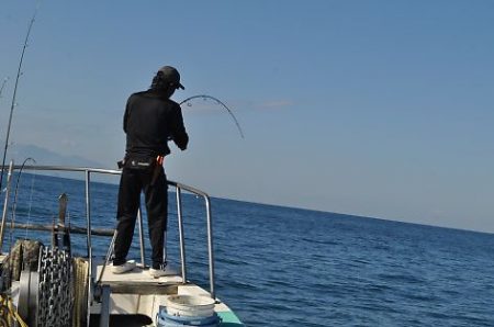 八海丸 釣果