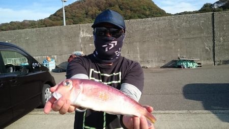 大進丸（新潟） 釣果