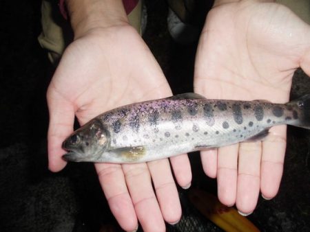 高萩ふれあいの里フィッシングエリア 釣果