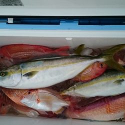 大進丸(新潟) 釣果