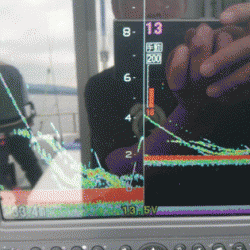 遊漁船ブルーウッズ 釣果