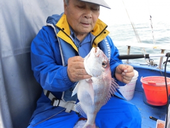 鯛紅丸 釣果