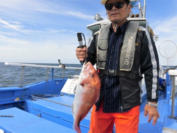 鯛紅丸 釣果