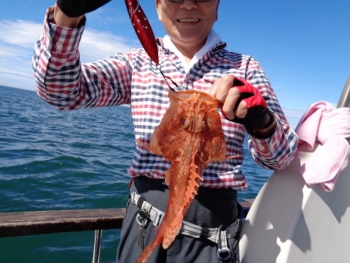 鯛紅丸 釣果