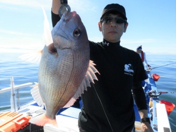 鯛紅丸 釣果