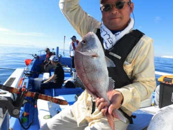 鯛紅丸 釣果