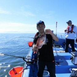 鯛紅丸 釣果