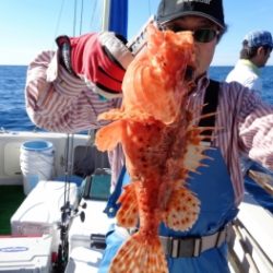 鯛紅丸 釣果