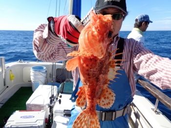 鯛紅丸 釣果