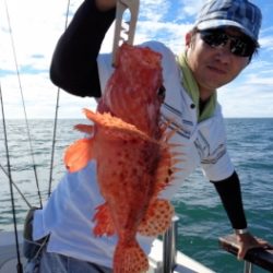 鯛紅丸 釣果