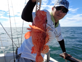 鯛紅丸 釣果