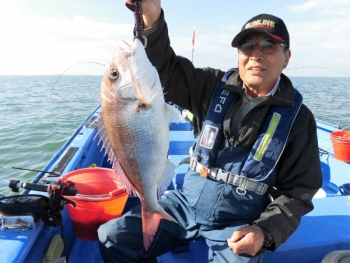 鯛紅丸 釣果