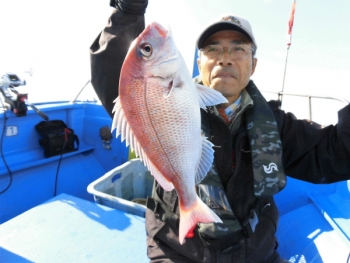鯛紅丸 釣果