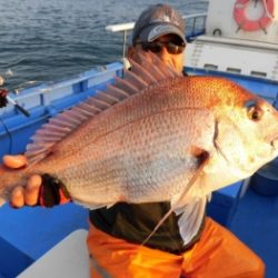 鯛紅丸 釣果