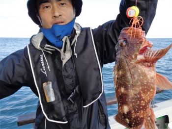 鯛紅丸 釣果