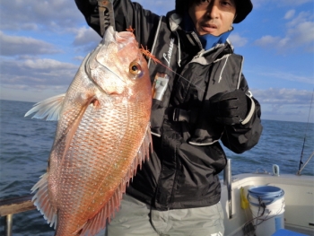 鯛紅丸 釣果