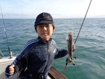 鯛紅丸 釣果
