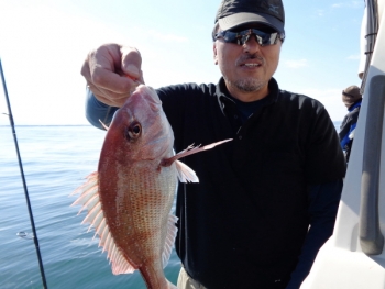 鯛紅丸 釣果