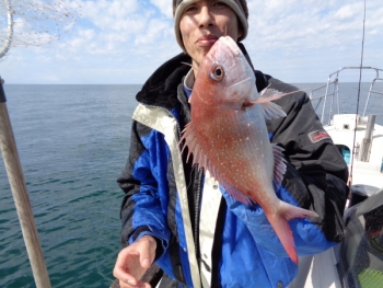 鯛紅丸 釣果