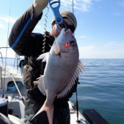 鯛紅丸 釣果