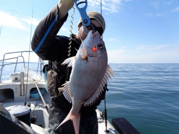 鯛紅丸 釣果