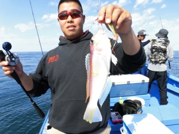 鯛紅丸 釣果