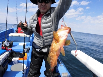 鯛紅丸 釣果