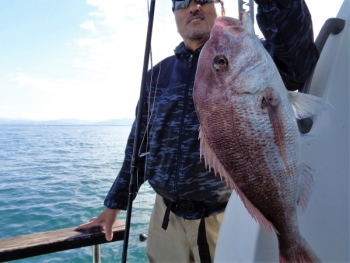 鯛紅丸 釣果