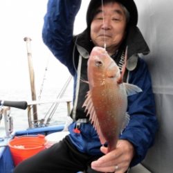鯛紅丸 釣果