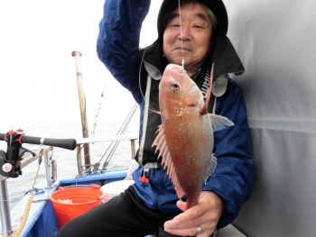 鯛紅丸 釣果