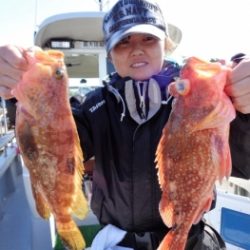 鯛紅丸 釣果