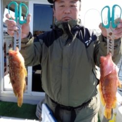 鯛紅丸 釣果
