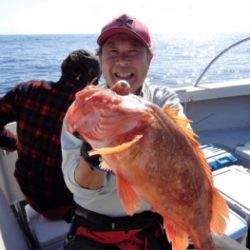 鯛紅丸 釣果