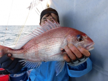 鯛紅丸 釣果
