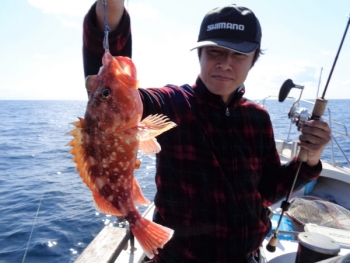 鯛紅丸 釣果