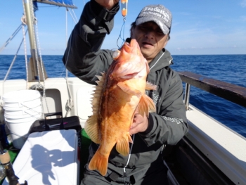 鯛紅丸 釣果