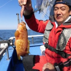 鯛紅丸 釣果