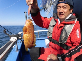 鯛紅丸 釣果