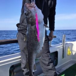 鯛紅丸 釣果