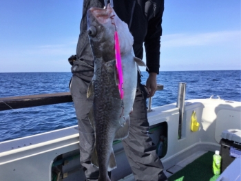 鯛紅丸 釣果
