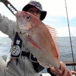 鯛紅丸 釣果