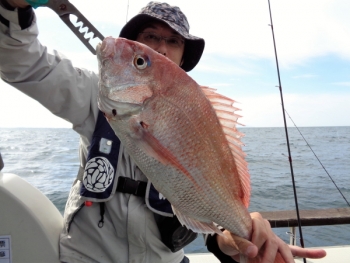 鯛紅丸 釣果