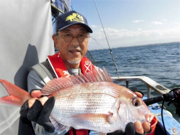 鯛紅丸 釣果