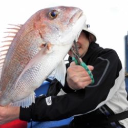鯛紅丸 釣果